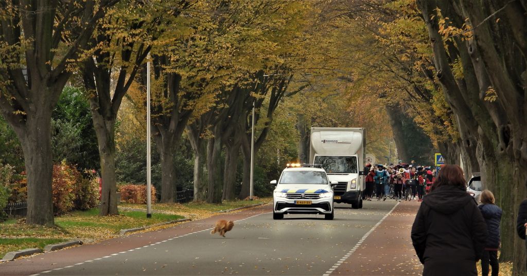 2022-11-2-0 Intocht Sinterklaas Schalkhaar. (3) klein