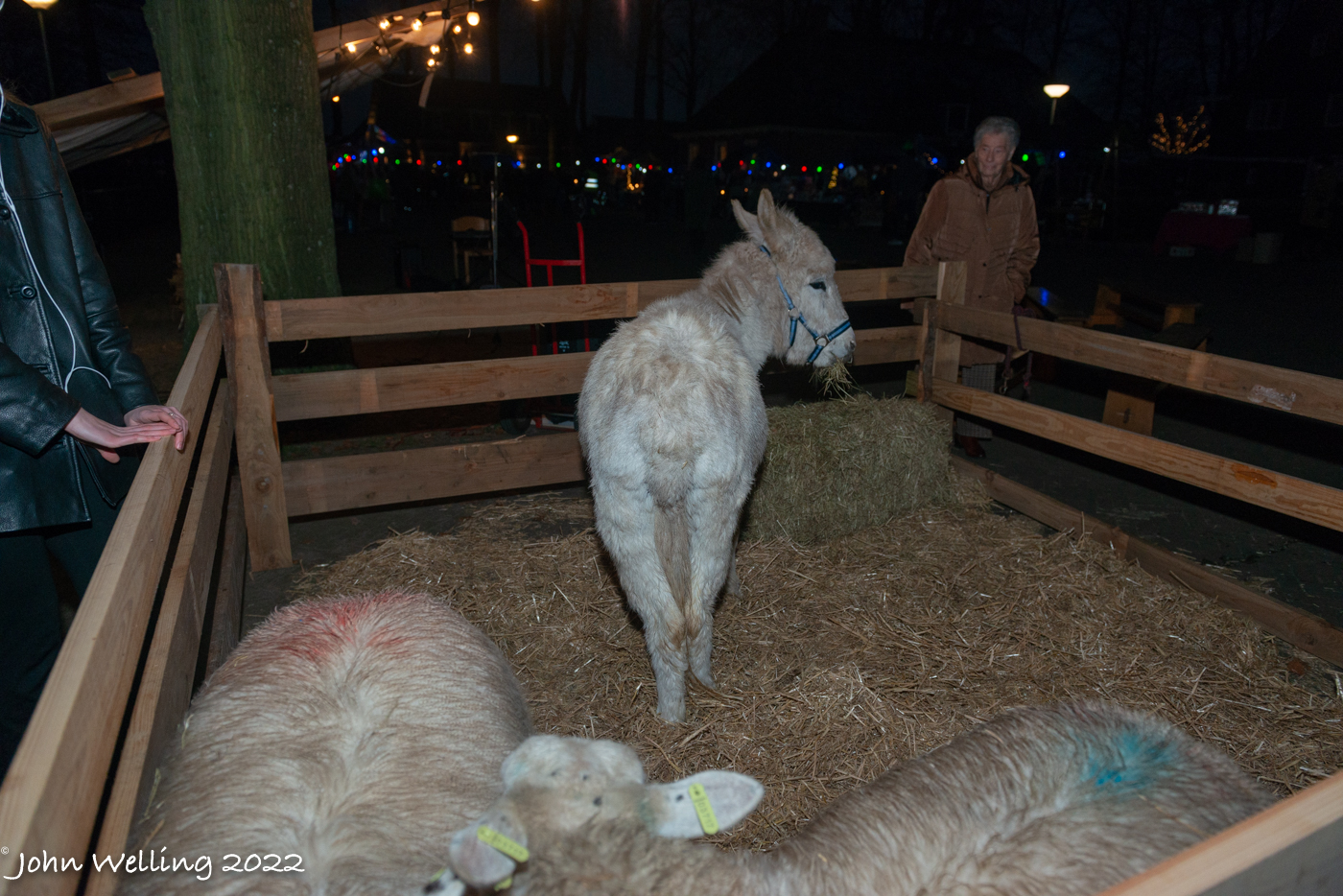 Kerstmarkt-23