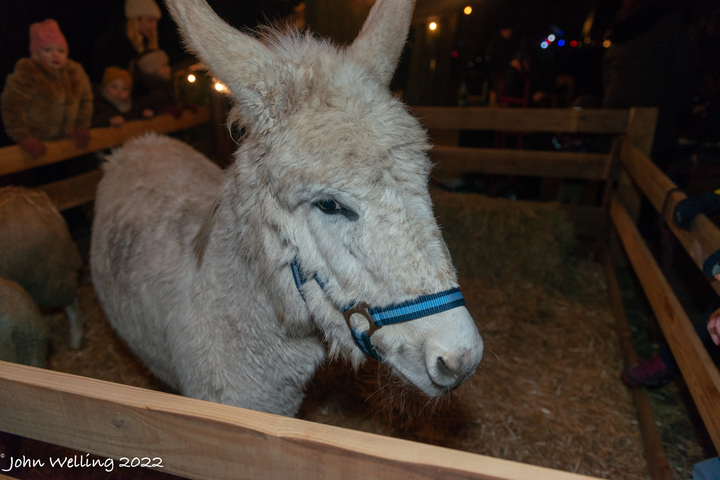 Kerstmarkt-51