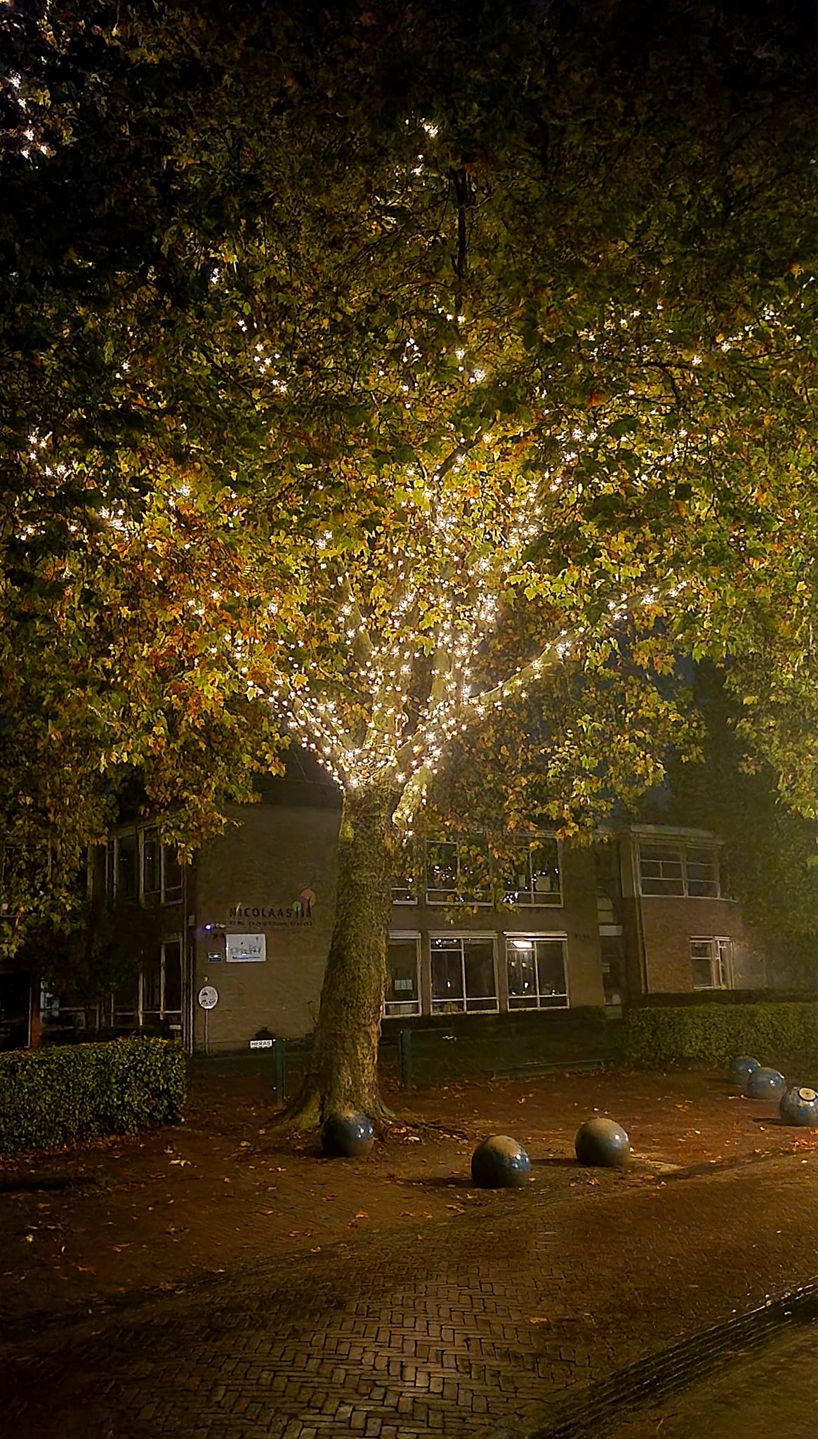 231027 03 Boomverlichting