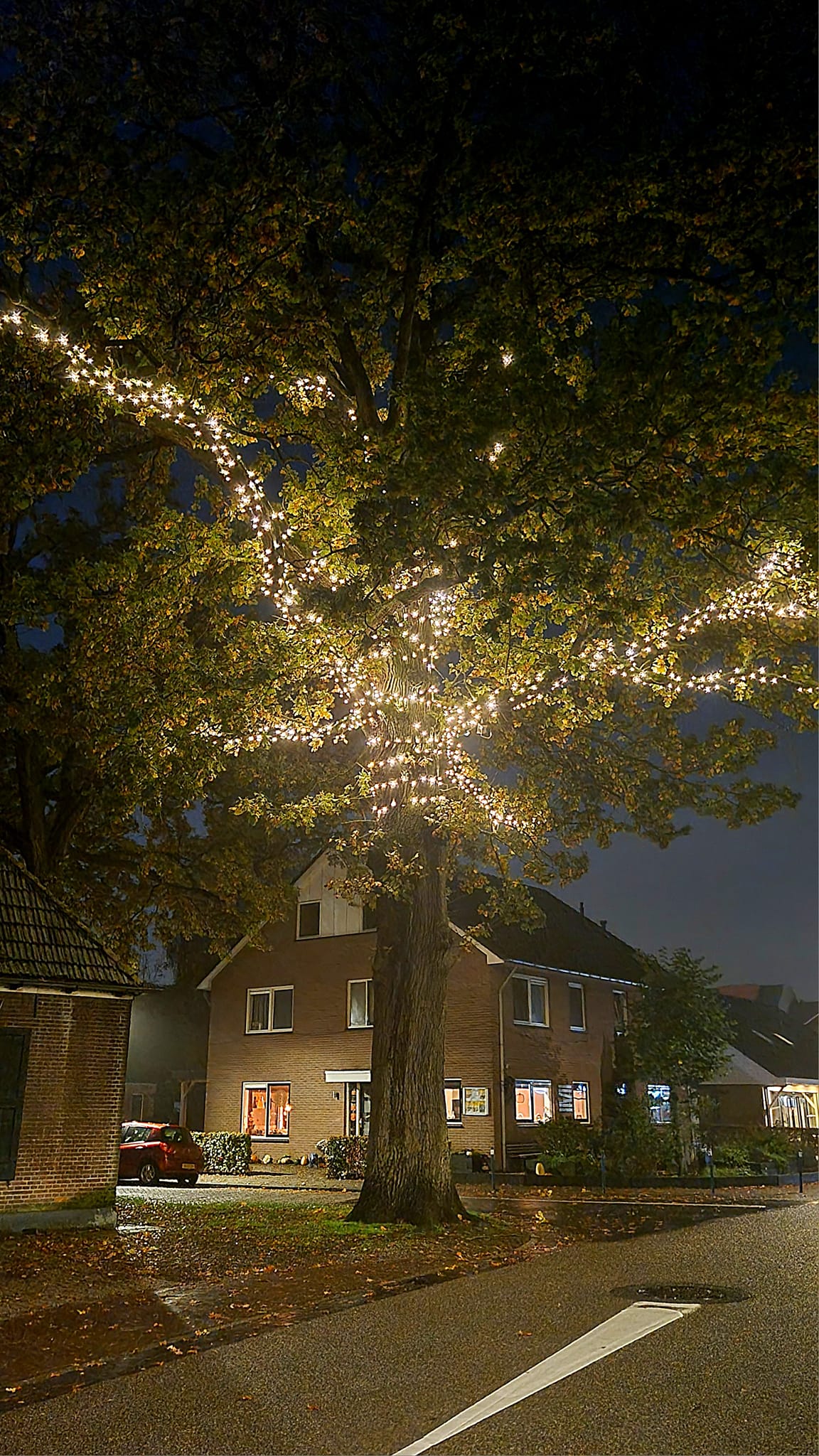 231027 05 Boomverlichting
