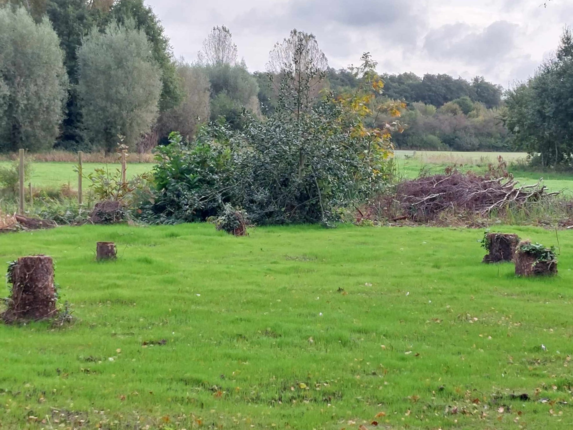 Pluktuin 01