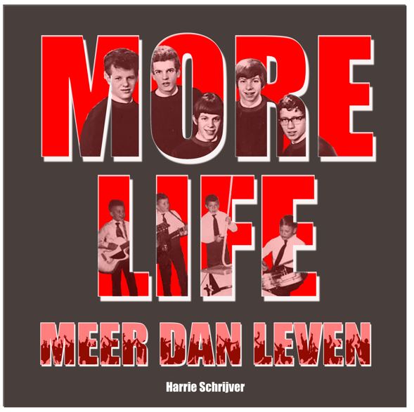More Life cover boek