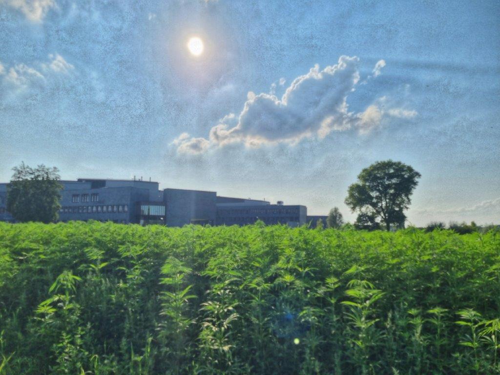 Picsart_24-07-18_19-17-18-627