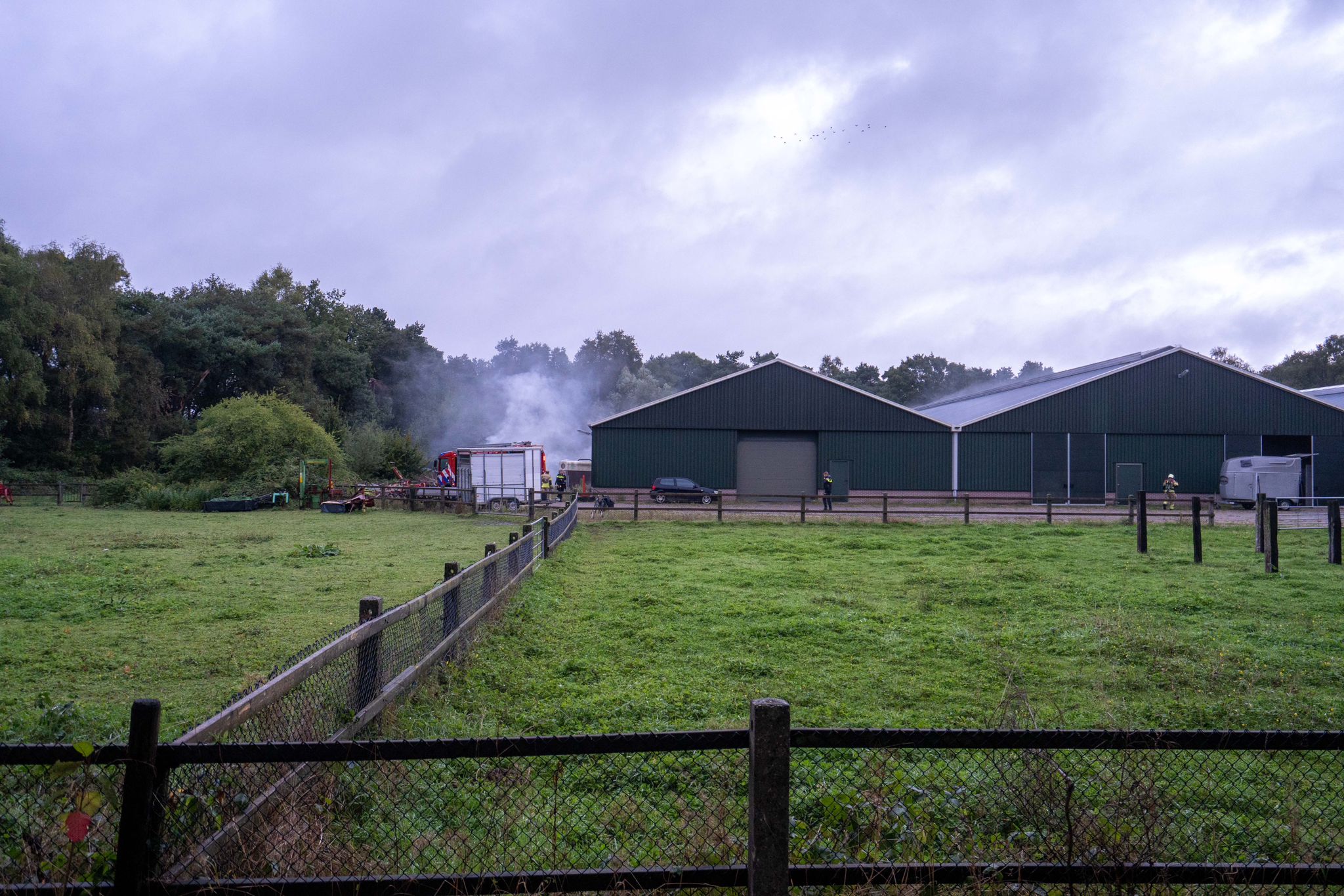 IMG-20240926-WA0005