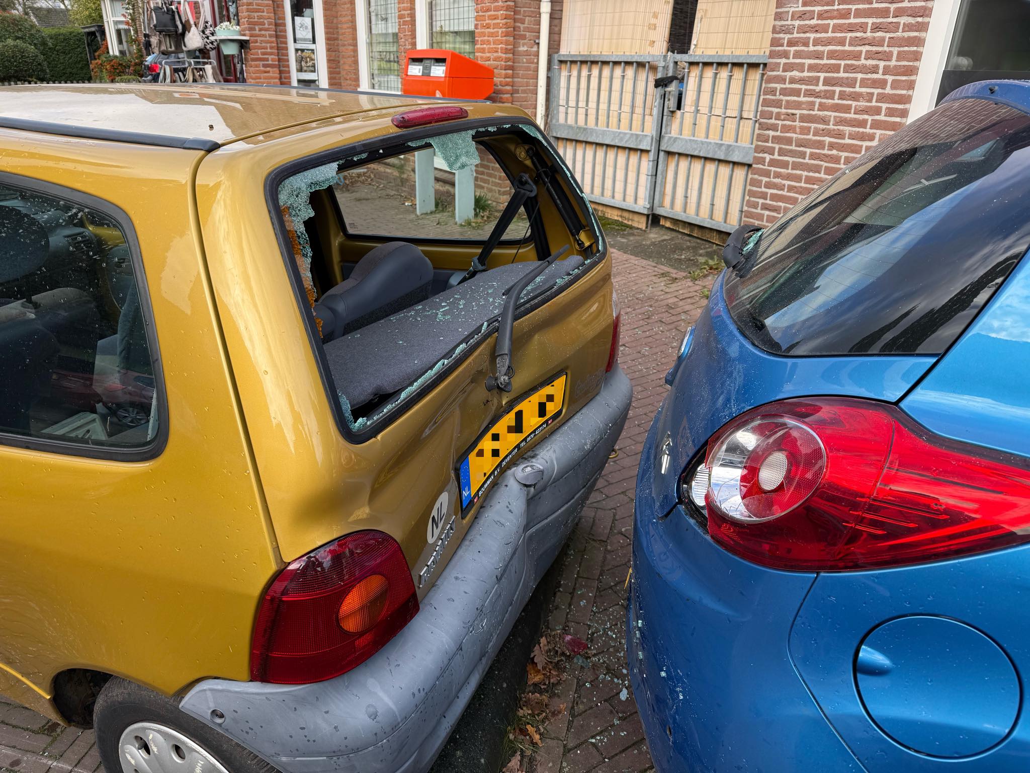 572947113_1411099024356233_4533476153301856745_n